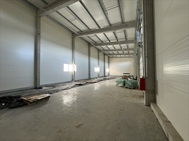 lokal użytkowy na wynajem 490m2 lokal użytkowy Rzeszów, Ludwika Chmury