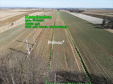 Na sprzedaż działka 8 360 m² z planem pod zabudowę mieszkaniową i usługową działka Kamienica