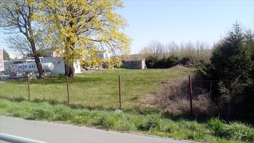 Działka komercyjna na sprzedaż Koszalin, Wilkowo, Gnieźnieńska 87 2 850m2 Foto 3
