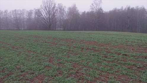Działka gospodarstwo rolne na sprzedaż Byki 7 000 000m2 Foto 3