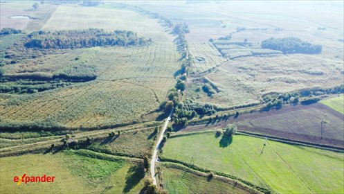 Na sprzedaż 55 ha działki rolnej z plantacjami w Koszajnach działka Koszajny