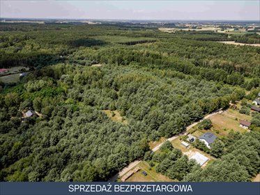 Działka 89 tys. m² pod inwestycję w Pelagii - plan zagospodarowania działka Pelagia, Pelagia