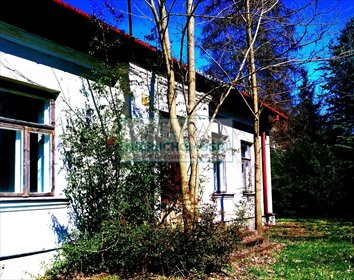 Urokliwa willa do rewitalizacji na dużej działce w Brwinowie dom Brwinów