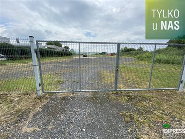 Działka komercyjna pod dzierżawę Jasin 4 659m2 Foto 2