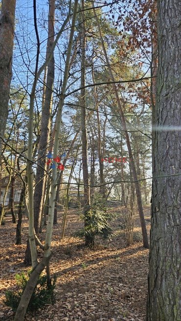 Działka budowlana na sprzedaż Piaseczno, Zalesie Dolne 1 352m2 Foto 5