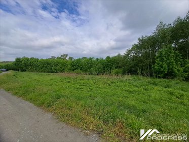 Na sprzedaż działka 1611 m² z WZ pod zabudowę zagrodową działka Podniebyle