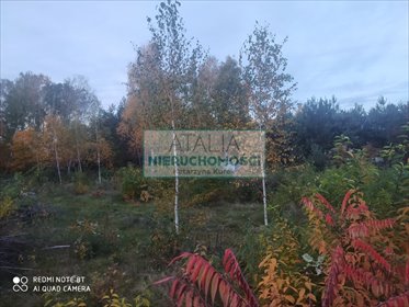 Działka 1114 m² z domkiem i mediami w Owczarni działka Owczarnia