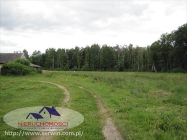 Działka budowlana na sprzedaż Dąbrowica 1 865m2 Foto 1