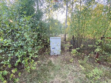 działka na sprzedaż 1099m2 działka Książenice, al. Olszowa