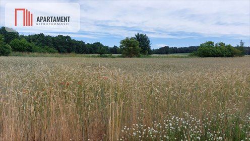 działka na sprzedaż 1000m2 działka Śmiłowo