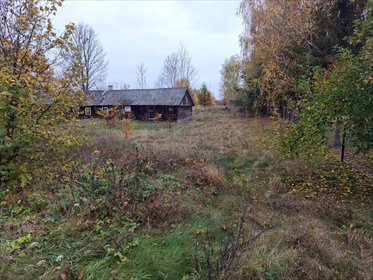 działka na sprzedaż 6900m2 działka Kuzawka