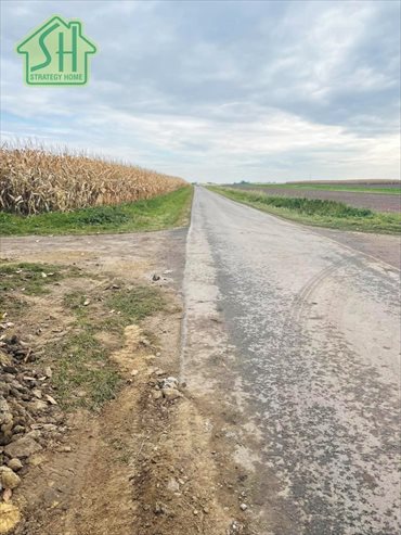 Działka inna na sprzedaż Drohojów 1 297m2 Foto 3