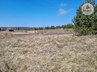 Działka budowlana na sprzedaż Biesówko, Biesówko 5 771m2 Foto 4