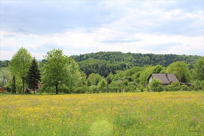 działka na sprzedaż 1556m2 działka Kobylec