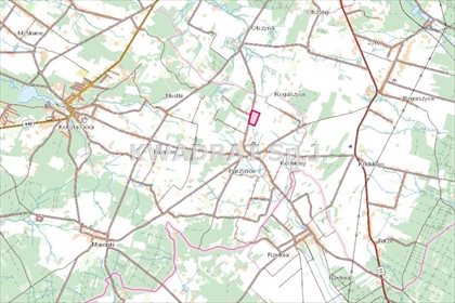 Działka inwestycyjna na sprzedaż Parzynów 66 076m2 Foto 5