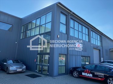 Przestronne biuro 213 m² (klimatyzacja, monitoring, dostęp 24/7) lokal użytkowy Pruszcz Gdański