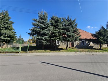 działka na sprzedaż 1090m2 działka Śnieciska