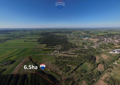 działka na sprzedaż 65000m2 działka Kaliś
