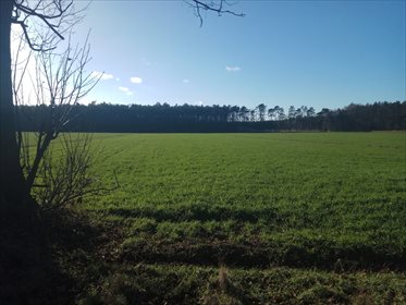 Działka rolna na sprzedaż Błażejewo 16 300m2 Foto 1