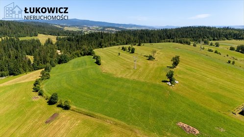 działka na sprzedaż 29793m2 działka Pieniążkowice