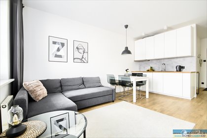 mieszkanie na wynajem 30m2 mieszkanie Poznań, Stare Miasto, Centrum