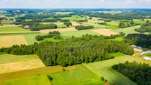 Działka inna na sprzedaż Chwaszczewo 27 254m2 Foto 2
