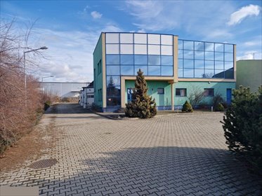 lokal użytkowy na sprzedaż 1090m2 lokal użytkowy Mława, Napoleońska