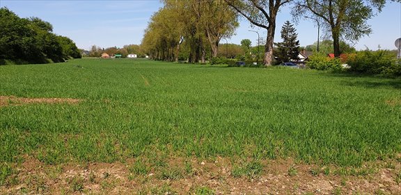 działka na sprzedaż 3000m2 działka Lublin, Krężnicka