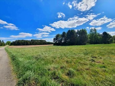 działka na sprzedaż 4235m2 działka Turośń Kościelna