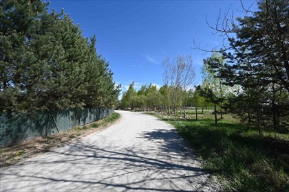 Działka budowlana 1004 m² w Miłoszycach - polecam działka Miłoszyce