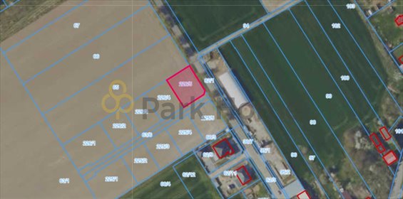 Polecam działkę 780 m² w Kalejach - spokój i wygoda! działka Kaleje