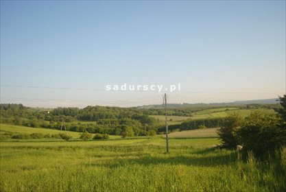 Działka leśna na sprzedaż Aleksandrów 50 000m2 Foto 6