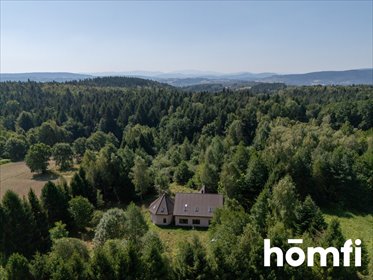 Dom 262 m² w Wysokiej (las, prywatny hektar) dom Wysoka, Spokojna