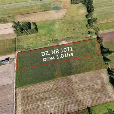 działka na sprzedaż 10105m2 działka Rębków, Polna