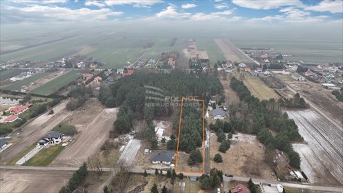 działka na sprzedaż 3800m2 działka Żdanów