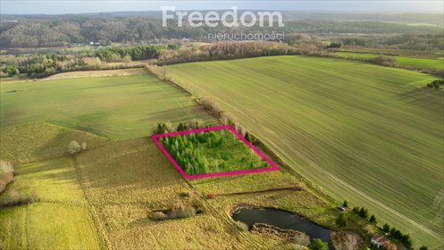 Przestronna działka 3987 m2 z widokiem i mediami działka Klonowo Górne, Świerkowa