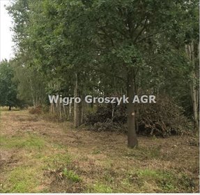 Zapraszam do zakupu działki 23 200 m² w Secyminie Polski działka Secymin Polski