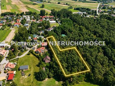 Działka leśna 8 336 m² Charłupia Mała - dostęp do drogi działka Charłupia Mała