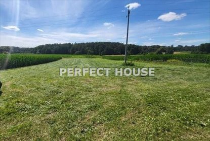 Polecam działki 2485 m² pod lasem z WZ na dom w Lutomku działka Lutomek, Międzychodzka