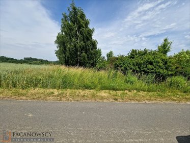 działka na sprzedaż 5600m2 działka Grębynice