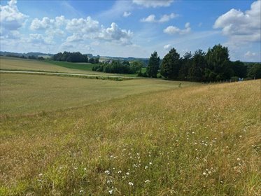 Działka budowlana 1011 m² z widokiem, zapraszam działka Borzestowska Huta
