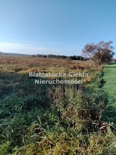 Na sprzedaż dwie działki 1206 m² w Długochorzelach działka Długochorzele