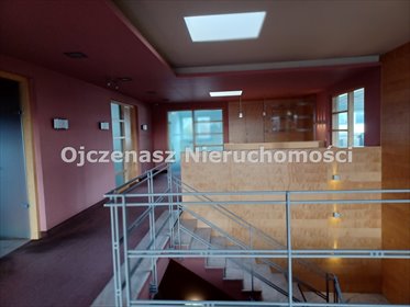 lokal użytkowy na wynajem 210m2 lokal użytkowy Brzoza