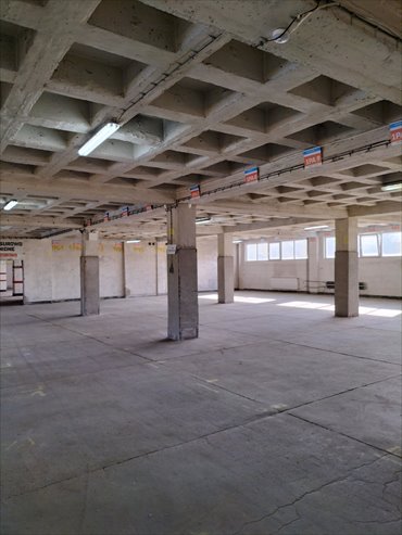 Magazyn 1175 m² z rampą i parkingiem - polecam magazyn Sosnowiec, Pogoń, Ptasia