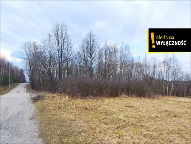 działka na sprzedaż 3080m2 działka Borki, Zaolzie