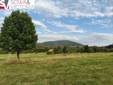 Działka 3000 m² z widokiem, rekreacja, własne przyłącze działka Walim