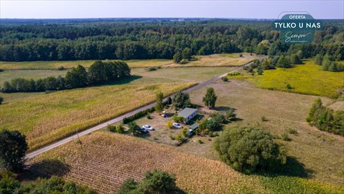 działka na sprzedaż 3733m2 działka Kiki
