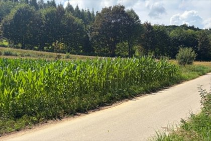 Do sprzedania działka 12 595 m² z lasem w Jaksicach działka Jaksice