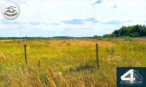 Działka budowlana na sprzedaż Bedoń Wieś, jarzębinowa 1 1 750m2 Foto 6