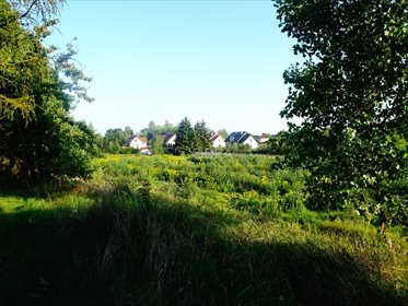 działka na sprzedaż 4117m2 działka Jeszkowice